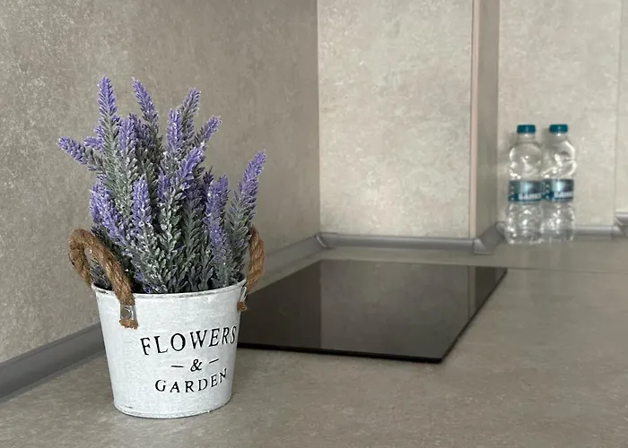 Sunny And Cosy In Admiral Plaza *